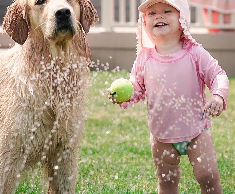 Dog and Baby Catch