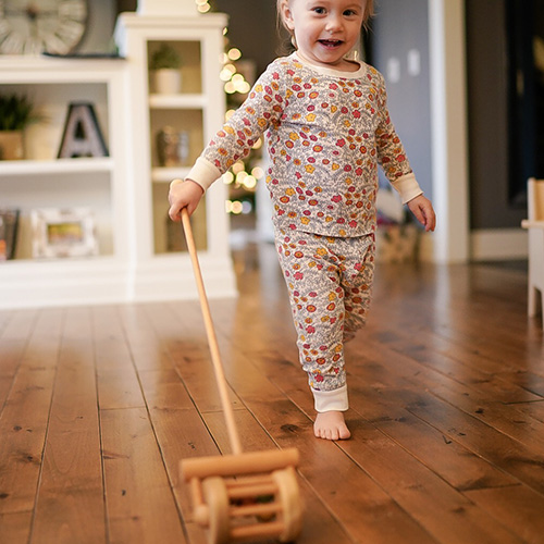 Montessori Push Toy